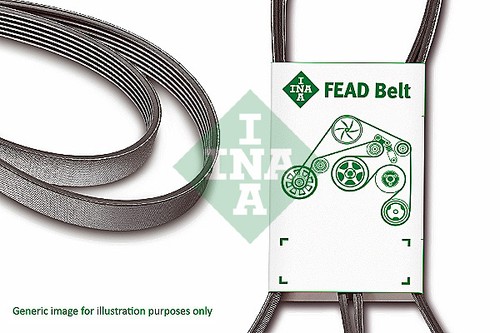 Ina 6pk800 ribbed belt - fb,