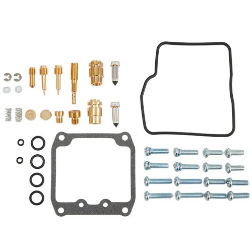Carburetor rebuild kit - carburetor,