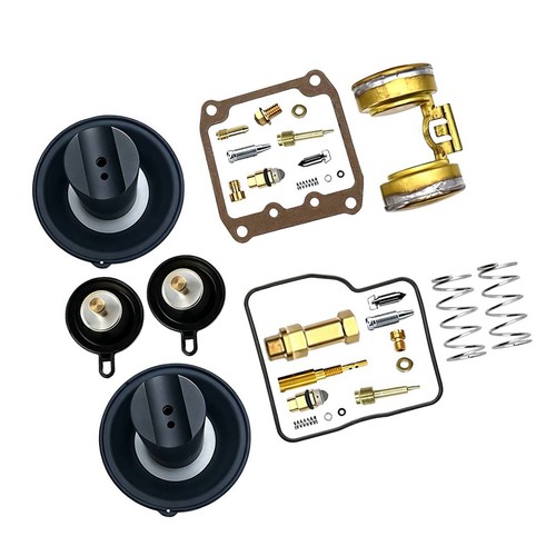 Premium carburetor repair kit - carburetor,